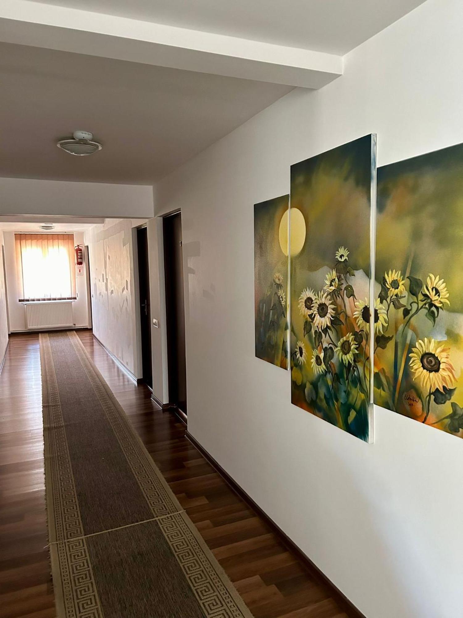 Bed and Breakfast Aranykakas Etterem Es Panzio Sîndominic Exterior foto